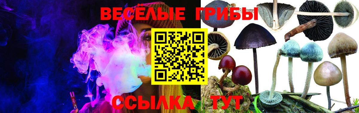 Галлюциногенные грибы Magic Shrooms Аргун