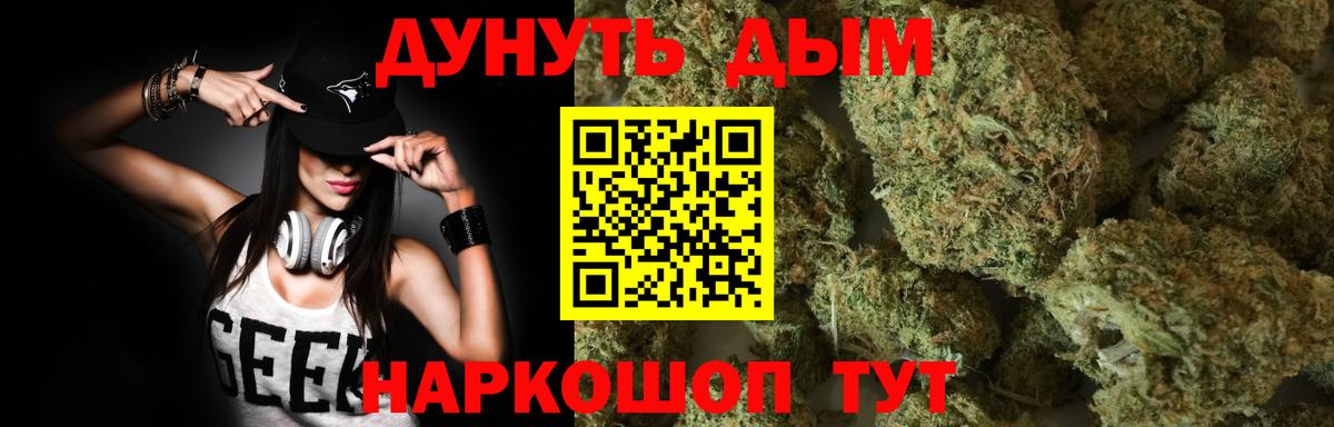 Каннабис сатива Аргун